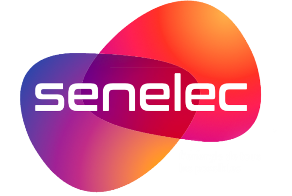 CRISE A LA SENELEC : Les travailleurs  déroulent un plan d'actions